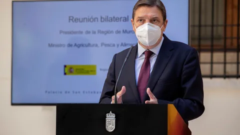 El ministro de Agricultura, Pesca y Alimentación, Luis Planas