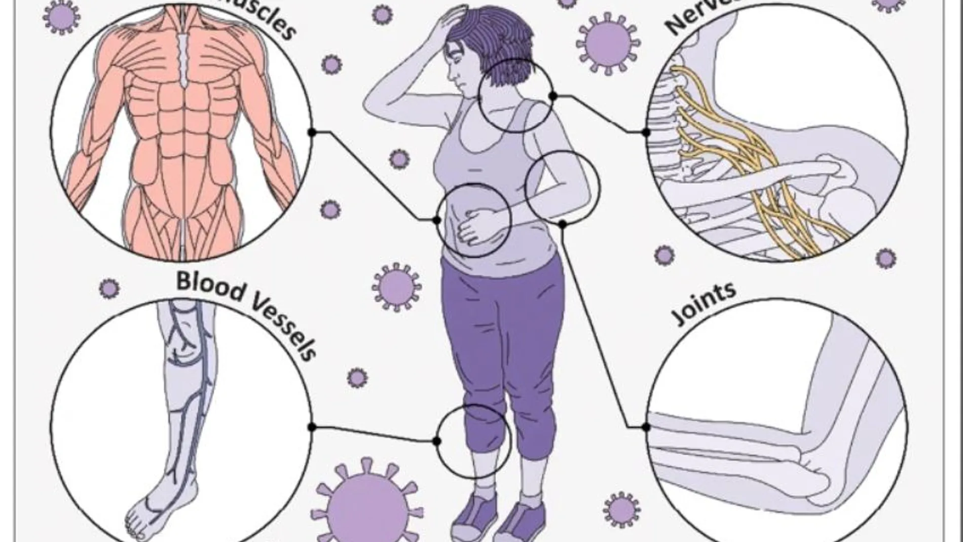 Imagen del estudio desarrollado por la Universidad de Northwestern (EE UU) sobre los nuevos síntomas del coronavirus