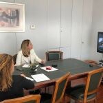 La consejera de Derechos Sociales del Gobierno de Canarias, Noemí Santana, mantiene una reunión telemática19/02/2021