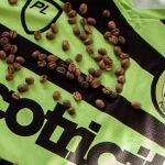 Nueva equipación del Forest Green Rovers