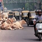 La India ha aumentado en un 50% su tasa de muertes por accidentes de tránsito en el último año, pasando más de 15,6 muertes a 22,6 por cada 100 000 personas | Fuente: AP