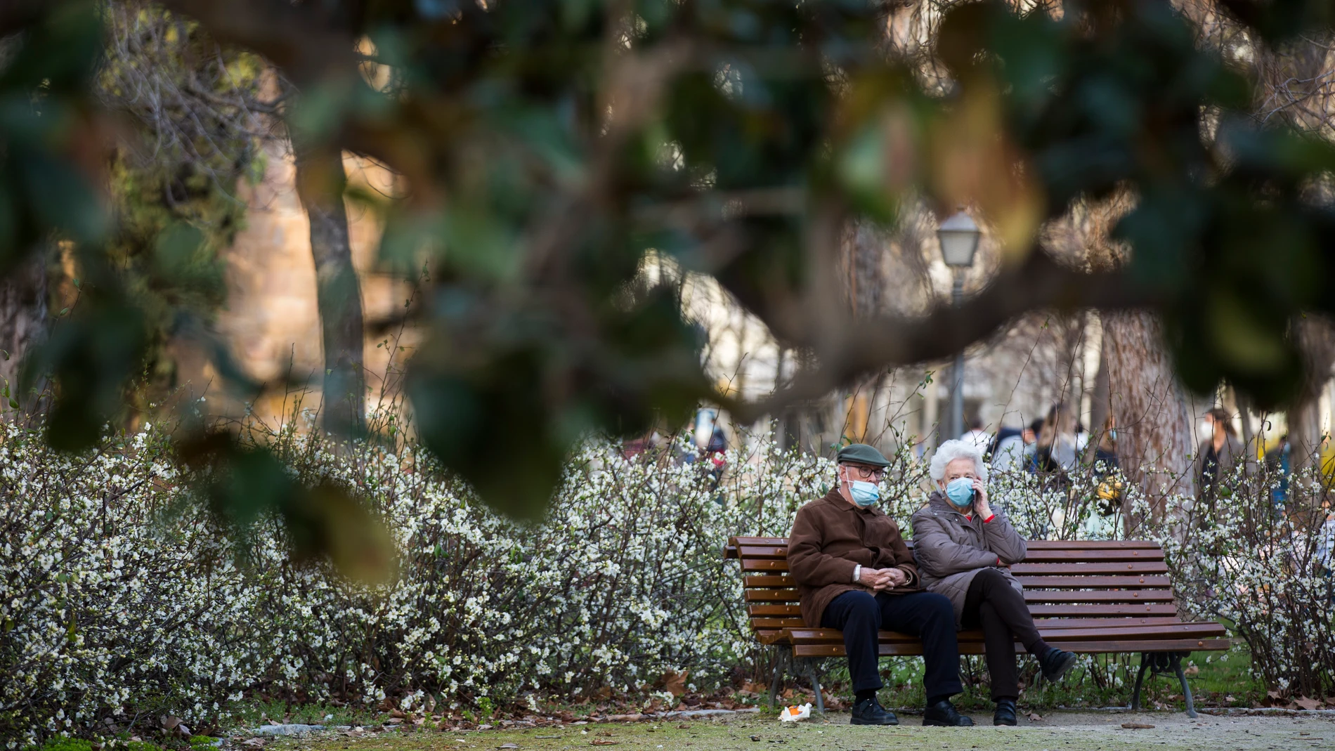 Imagen de una pareja de la tercera edad en el parque del Retiro