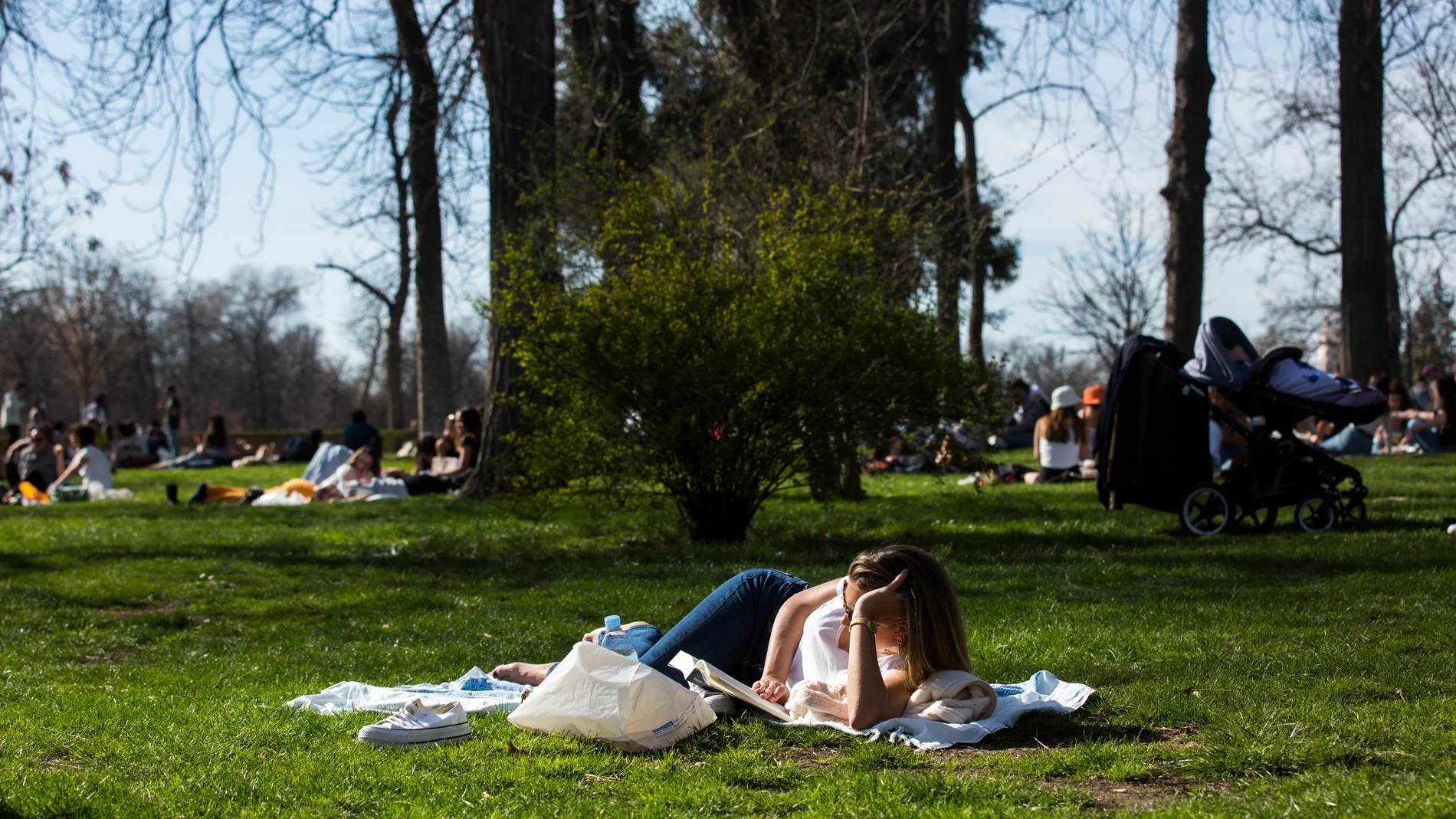 Imagen de una joven tirada sobre el césped leyendo un libro al sol.