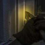 El botín medio de los ladrones de casas en España es de 1.333 euros.