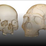 Modelo tridimensional y reconstrucción virtual del oído de un humano moderno (izquierda) Neandertal Amud 1 (derecha)
