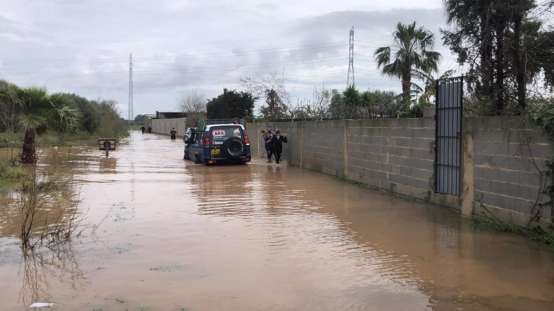 Perros evacuados de la perrera de Los Barrios