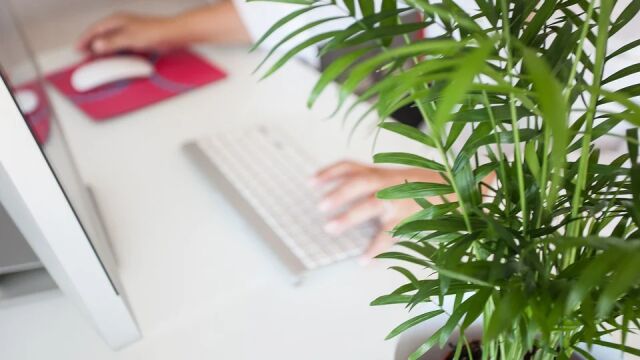 No solamente se tuvieron que quedar los padres a trabajar en casa, también lo tuvieron que hacer los hijos. El confinamiento trajo la escuela online que unos colegios sortearon mejor que otros.