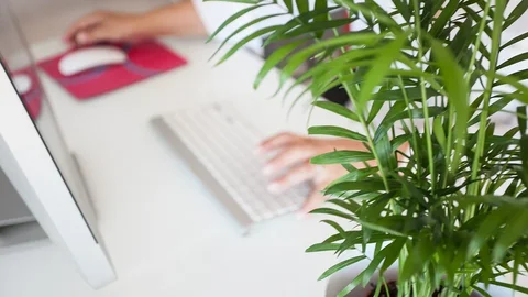 No solamente se tuvieron que quedar los padres a trabajar en casa, también lo tuvieron que hacer los hijos. El confinamiento trajo la escuela online que unos colegios sortearon mejor que otros.