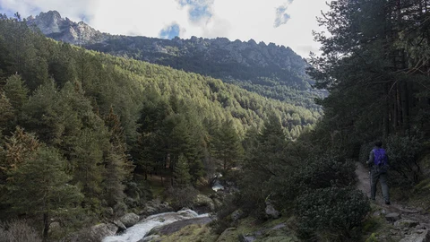 Un senderista en el camino de regreso desde los Chorros del Manzanares, en la Sierra de Guadarrama, Madrid (España).