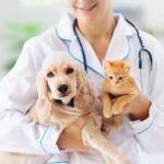 Vacunar a las mascotas es vital para la salud de ellas y del resto de la familia.