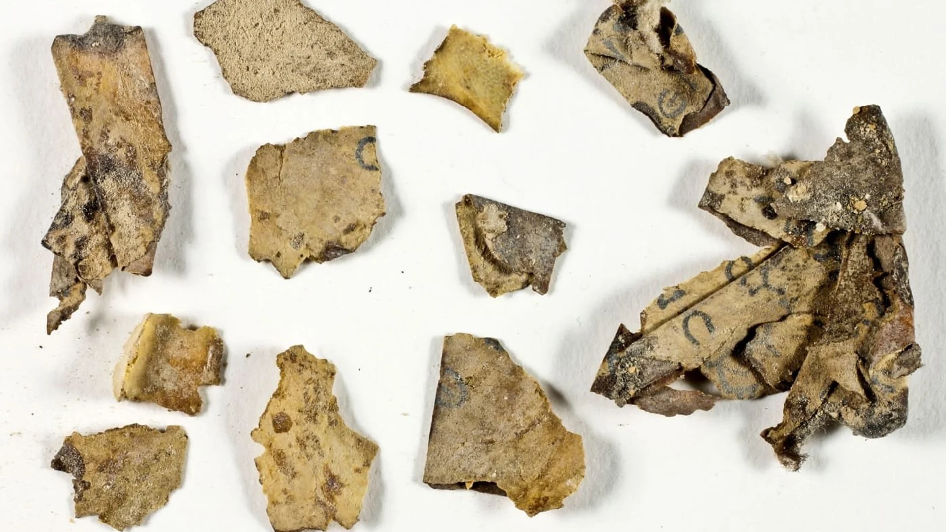 Fragmentos de los manuscritos del Mar Muerto, hallados en Judea