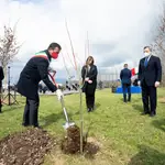 El primer ministro Mario Draghi inaugura el Bosque de la Memoria en honor de las víctimas de la covid