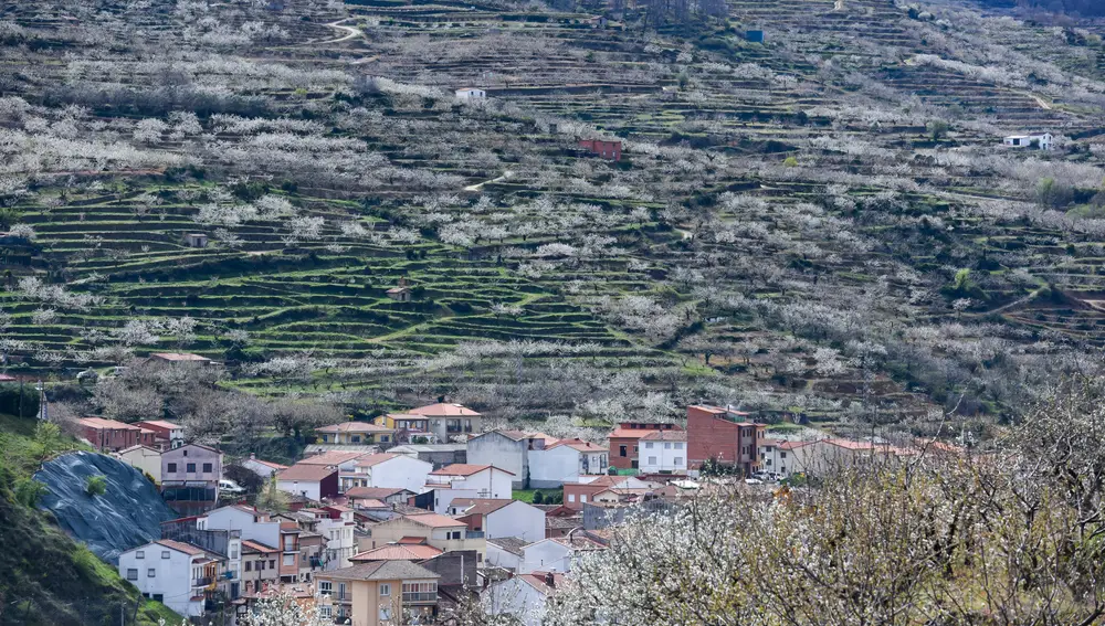 Navaconcejo y parte del Valle del Jerte, fotografiados durante la floración del cerezo en una de las sierras del Valle del Jerte en Cáceres