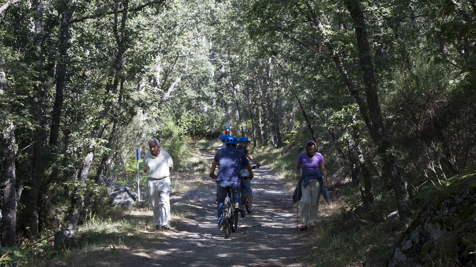 Bicis y coches electricos en el parque natural del lago de sanabria