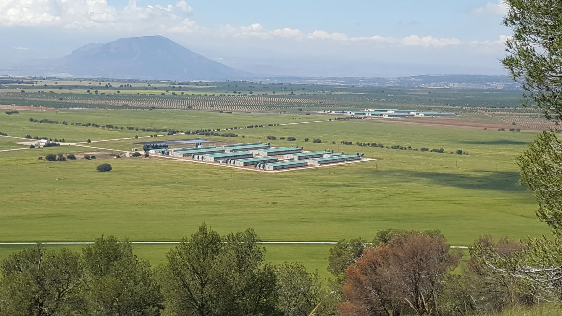 Imagen de las instalaciones de Cefusa en Dehesa del Rey, en la localidad granadina de Castilléjar