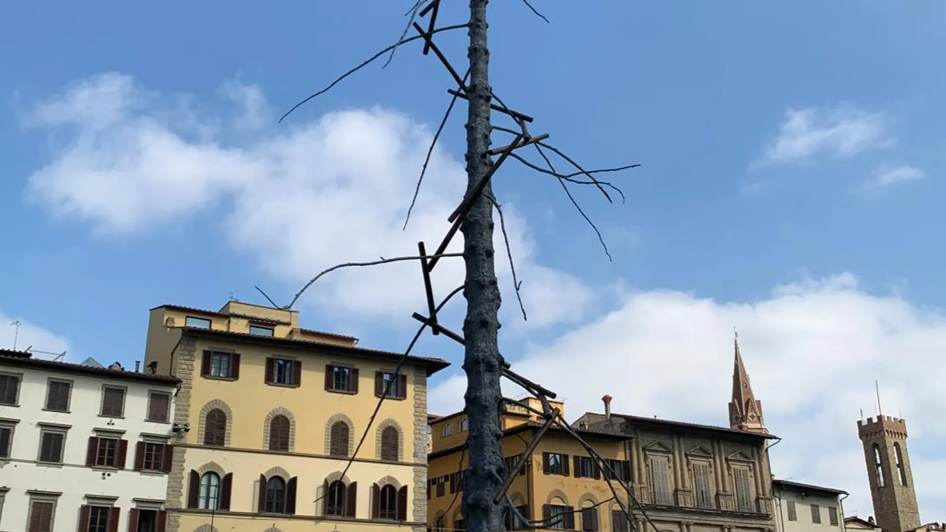"Abete". obra del artistas Giuseppe Penone. Piazza delle Signoria. Florencia