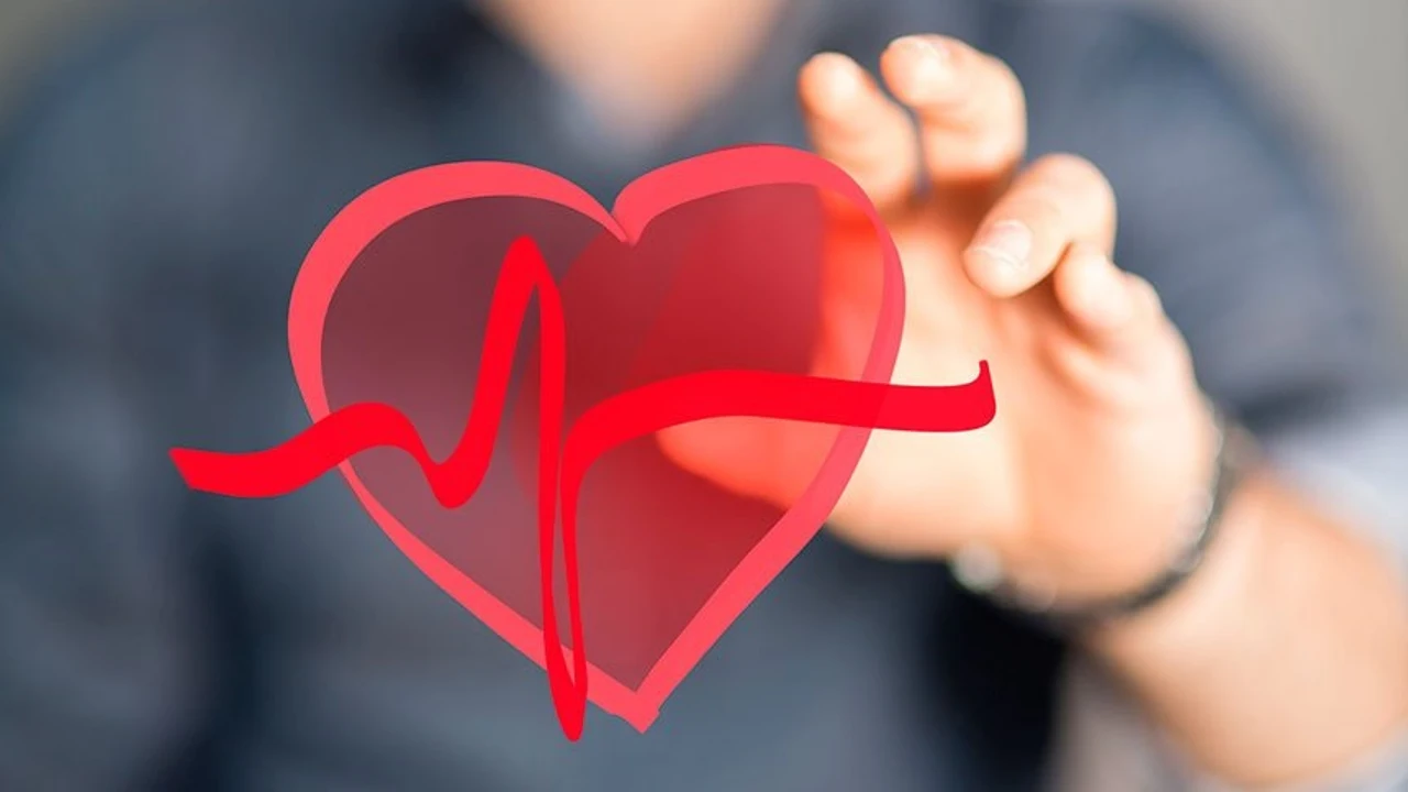 La grasa abdominal pone en riesgo tu corazón - Cardiavant
