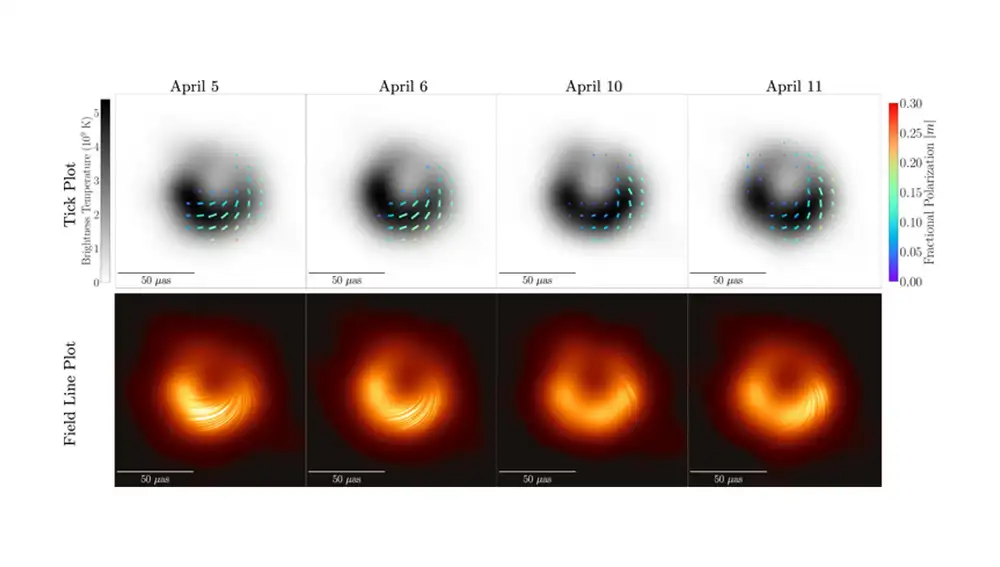 Imágenes de M87 producidas promediando los resultados de cinco métodos de reconstrucción. Se muestran las imágenes promedio del método para los cuatro días de observación del M87, de izquierda a derecha. En la fila inferior vemos &quot;líneas de campo&quot; de polarización trazadas encima y debajo de la imagen original.