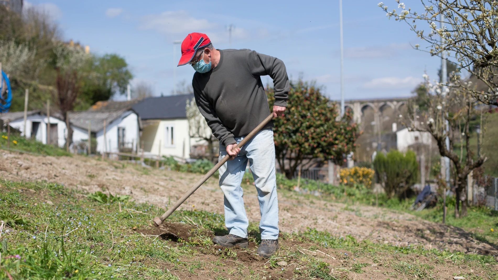 Un agricultor de la provincia de Segovia