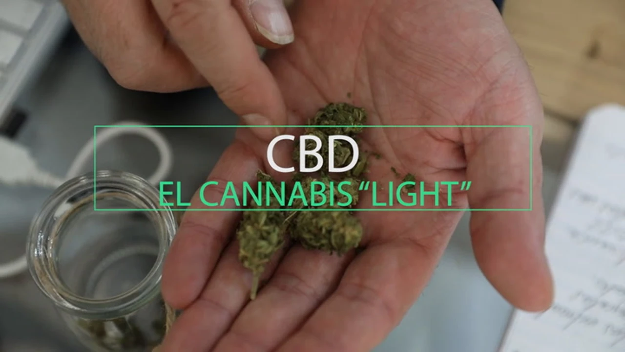 CBD: Así es el CBD: la marihuana 'light' que no 'coloca' y puedes comprar  en el centro de Madrid