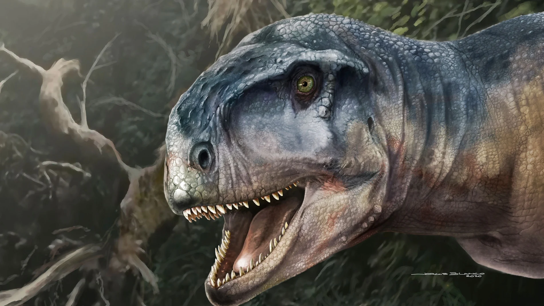 Descubierto el Llukalkan, un nuevo dinosaurio carnívoro de 5 metros de largo