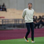Luis Enrique, en la zona técnica durante el partido