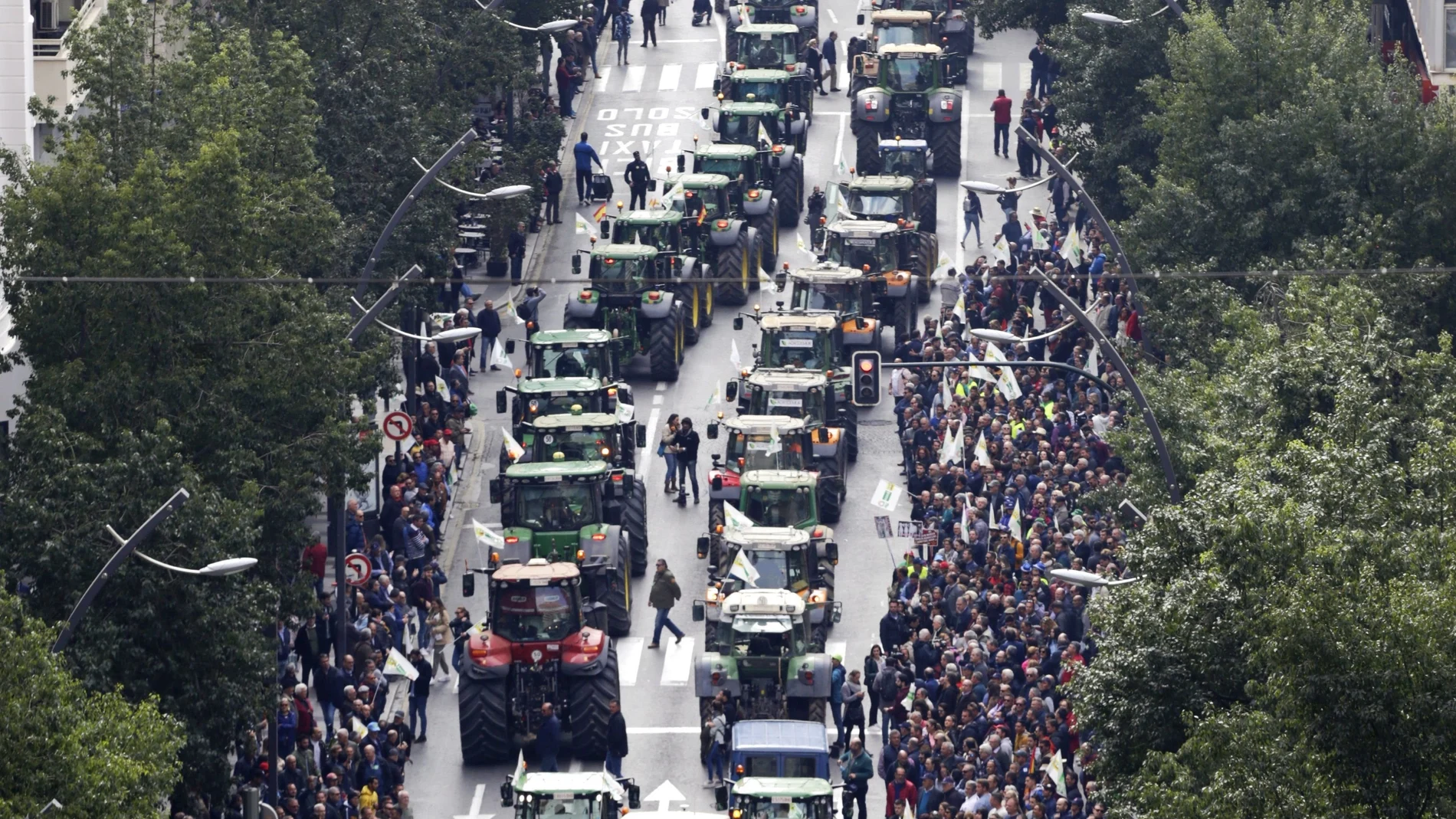 Las tractoradas han vuelto para protestar por la situación que atraviesa el sector agrario