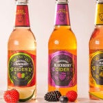 Zumos de fruta con alcohol Cider Wild Panther de venta en Mercadona