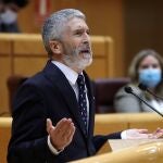 El ministro del Interior, Fernando Grande- Marlaska interviene durante la sesión de control al Gobierno en el pleno del Senado