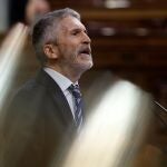 El ministro del Interior, Fernando Grande-Marlaska en el Congreso