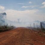 Smoke rises in the middle of an illegal road made during the deforestation of the Yari plains, in Caqueta, Colombia March 2, 2021. Picture taken March 2, 2021. REUTERS/Luisa Gonzalez