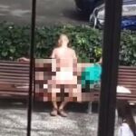 La pareja, sentada en un banco, aparentemente manteniendo relaciones sexuales en público. Ocurrió en Santa Cruz de Tenerife