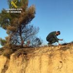 Un agente de la Guardia Civil investiga en el lugar del suceso