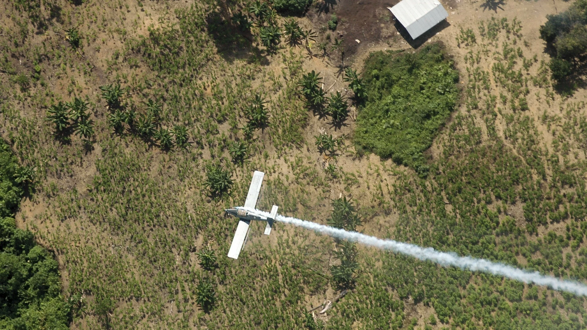 FILE - In this June 4, 2008 file photo, counter-narcotic police spray herbicides over coca fields in El Tarra, in the Catatumbo river area, near Colombia's northeastern border with Venezuela. The South American country’s environmental authority said on Thursday, April 15, 2021, that it does not oppose the government's use of glyphosate in its future coca eradication plan. The move is seen as a prerequisite to restarting crop-dusting of coca plantations with the herbicide. (AP Photo/Luis Robayo, File)