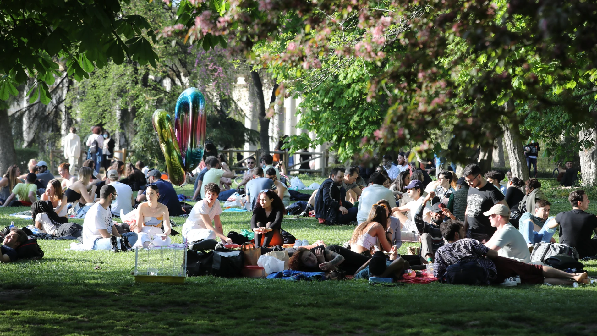 Parque del retiro