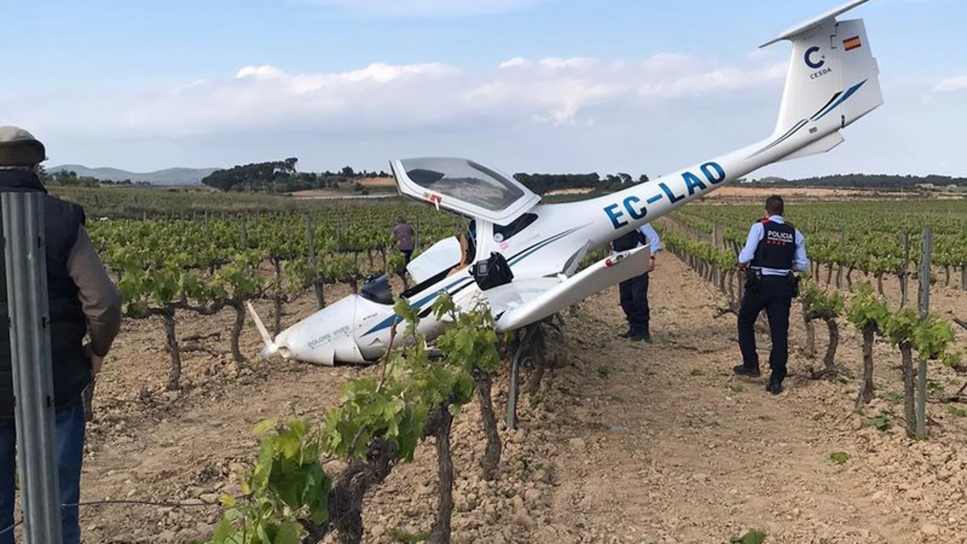 La avioneta cayó entre unas viñas