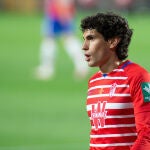 Jesús Vallejo con el Granada.