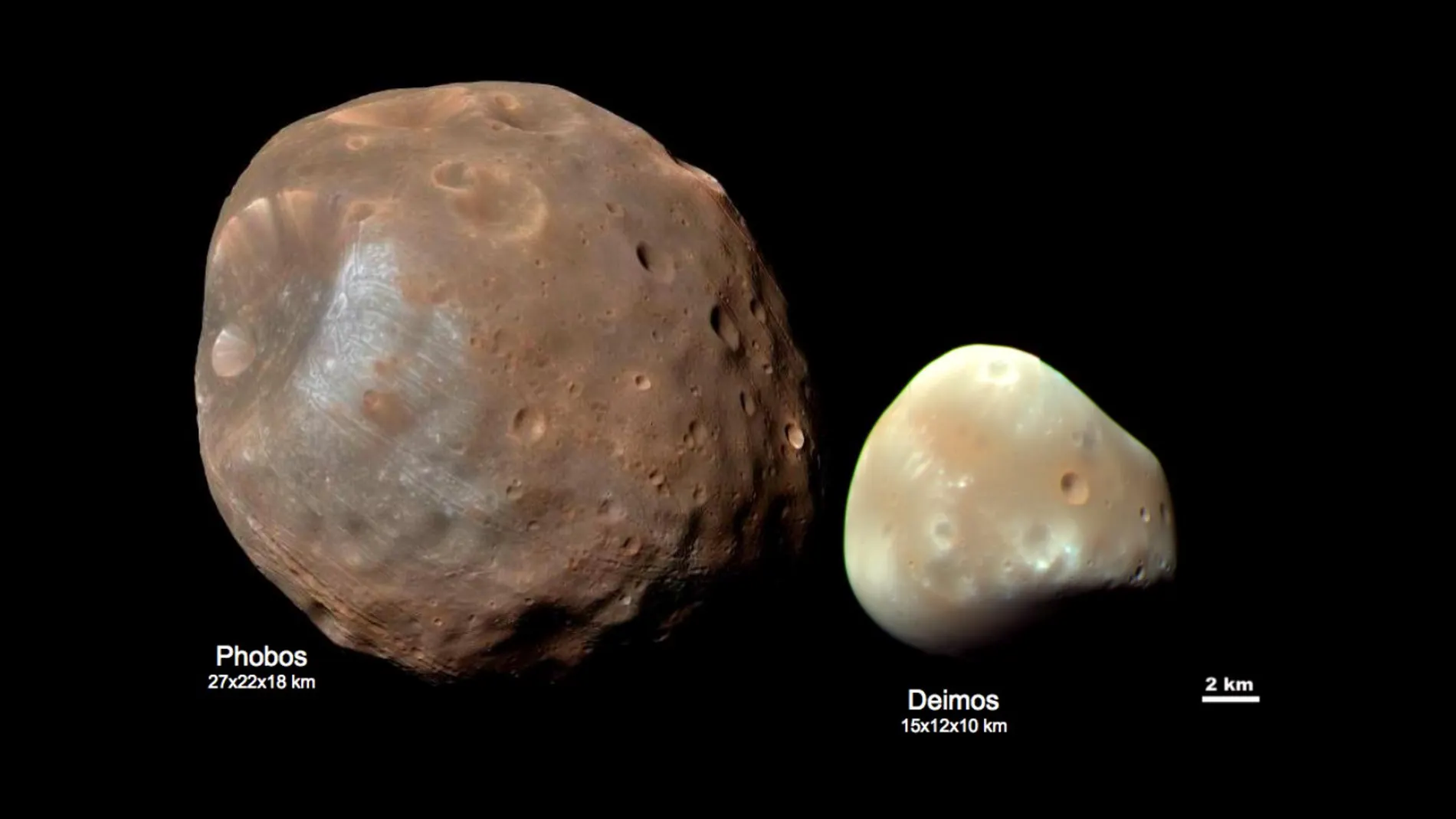 Imagen comparando los tamaños e las dos irregulares lunas de Marte: Fobos y Deimos.