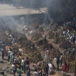 Funeral múltiple de víctimas de la covid en Nueva Delhi
