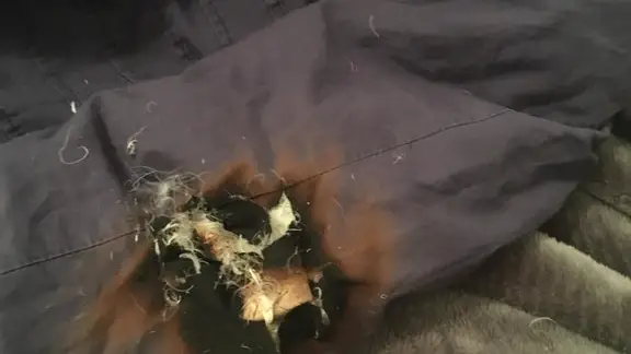 Jamás te duermas con la linterna del móvil encendida