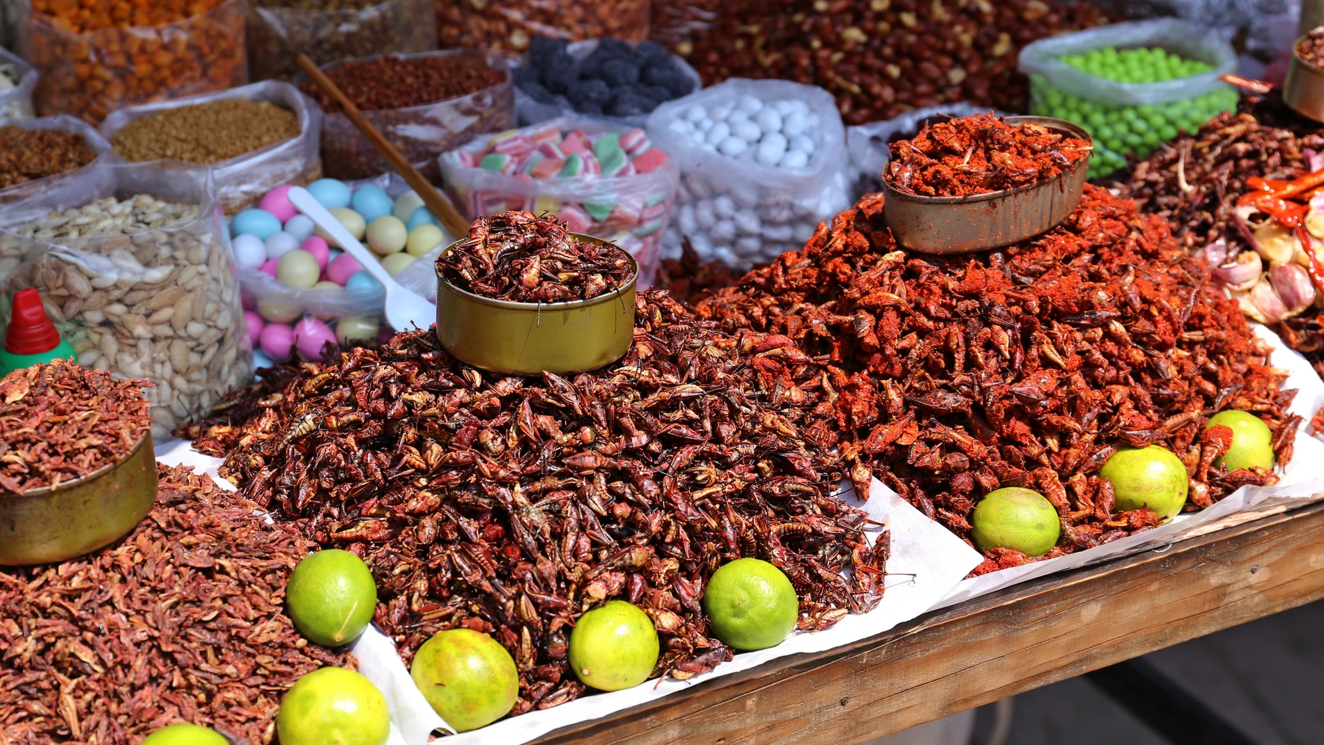 Puesto de insectos en un mercado asiático.
