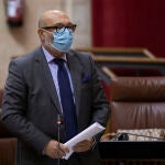 El portavoz del grupo parlamentario Vox, Alejandro Hernández, ayer durante su intervención en la sesión de control al gobierno