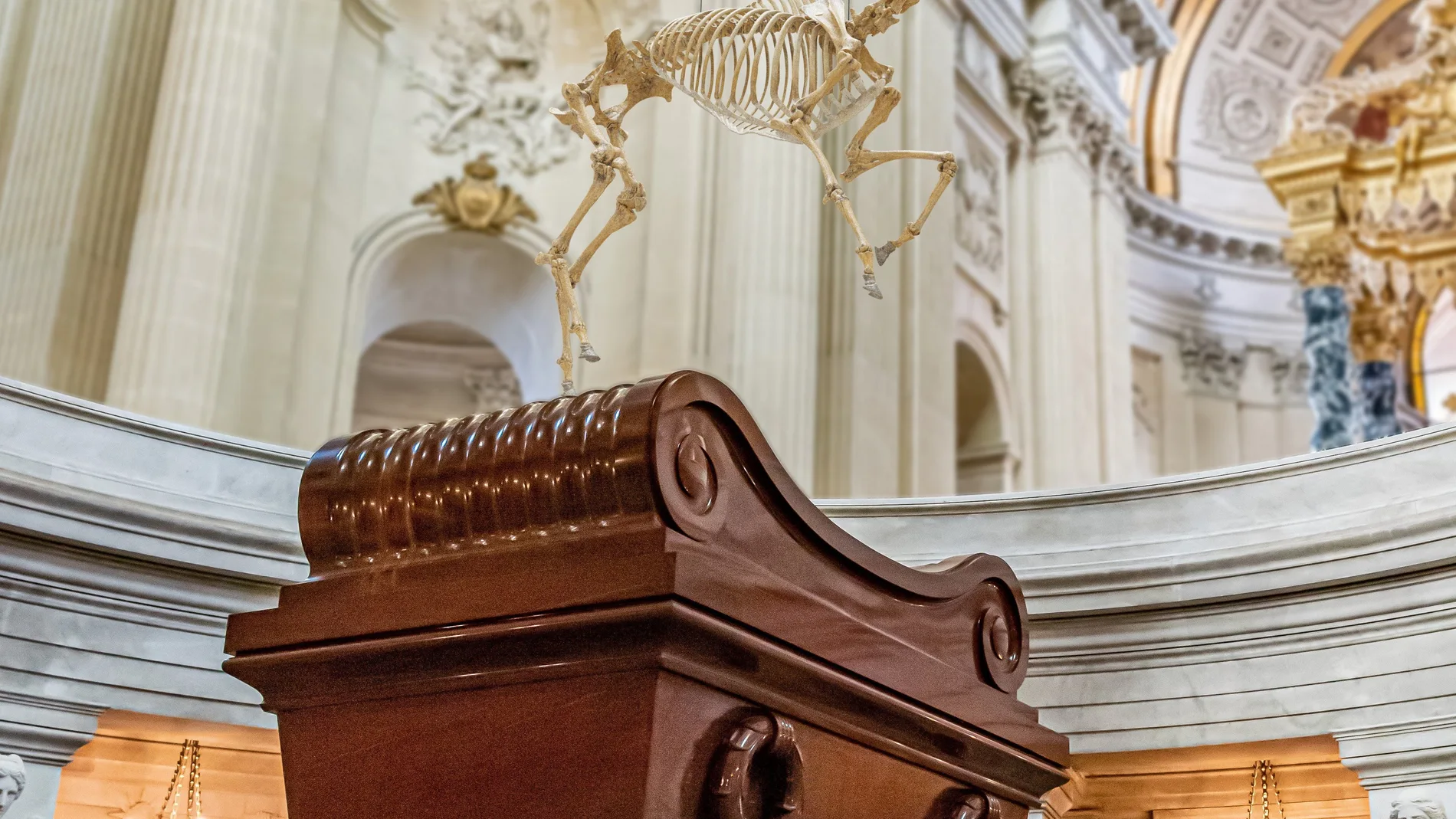 El esqueleto del caballo preferido de Napoleón suspendido sobre la monumental tumba del Emperador