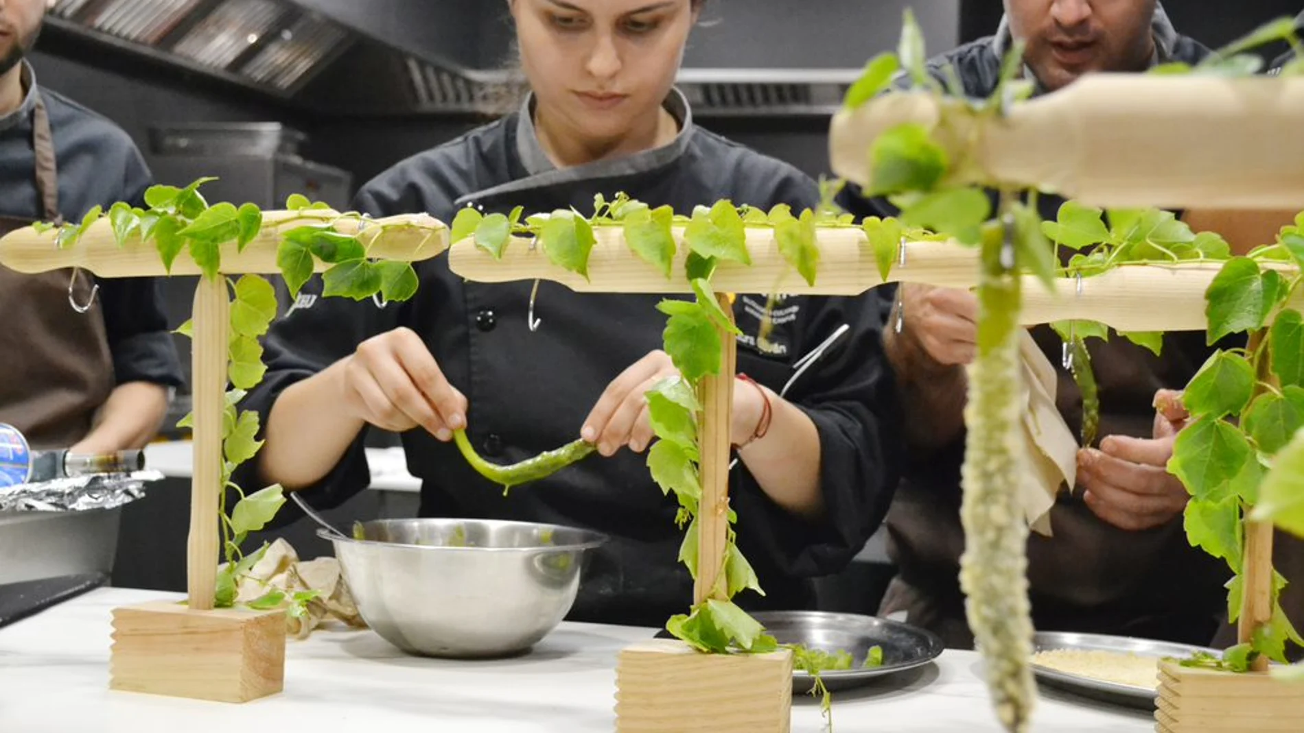 La Universidad CEU Cardenal Herrera, junto a Gasma, ha diseñado un programa de Becas específico para el grado en Gastronomía.