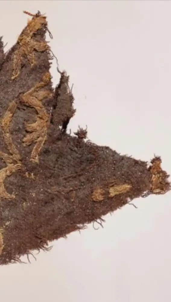 Detalle de uno de los textiles hallados entre los huesos del vikingo Bjerringhøj