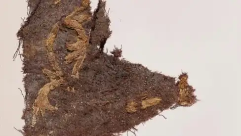 Detalle de uno de los textiles hallados entre los huesos del vikingo Bjerringhøj