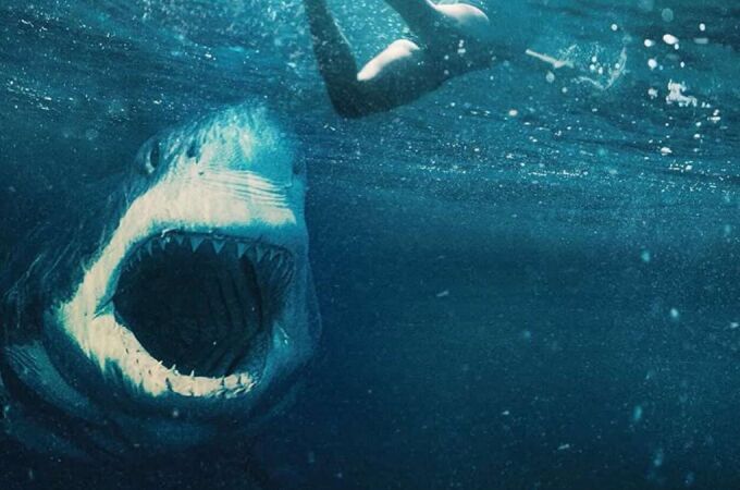 "Tiburón blanco" se estrena este viernes 7 de mayo en España