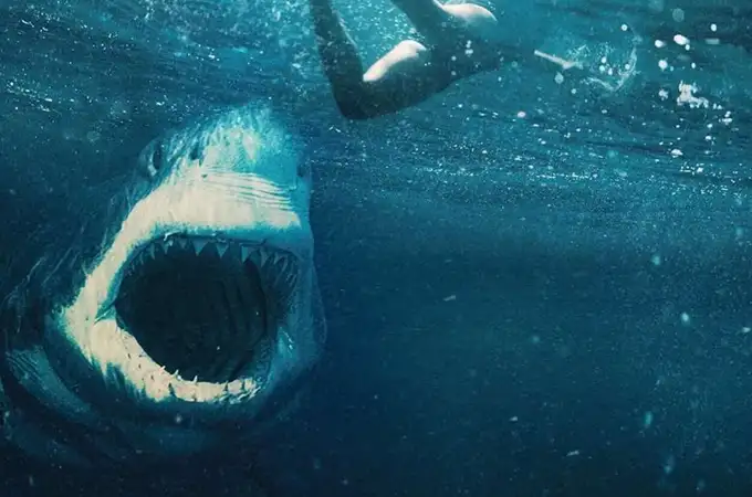 Crítica de “Tiburón blanco”: la culpa es de Spielberg ★★☆☆☆