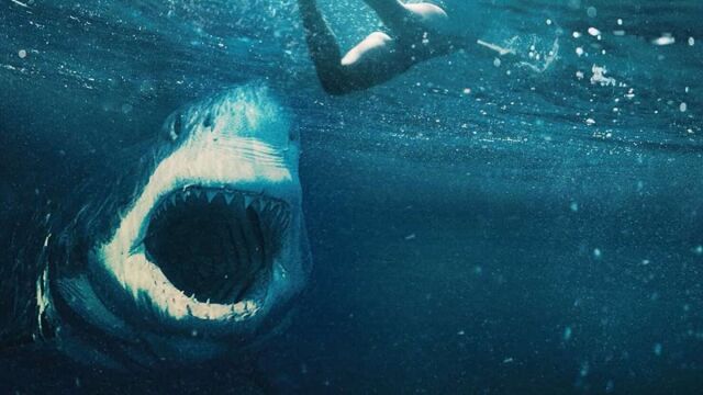 "Tiburón blanco" se estrena este viernes 7 de mayo en España
