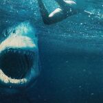 "Tiburón blanco" se estrena este viernes 7 de mayo en España